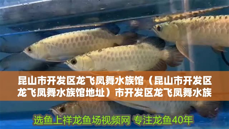 昆山市開發區龍飛鳳舞水族館（昆山市開發區龍飛鳳舞水族館地址）市開發區龍飛鳳舞水族館，探索自然奧秘的