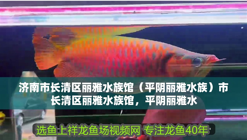 濟南市長清區麗雅水族館（平陰麗雅水族）市長清區麗雅水族館，平陰麗雅水 濟南市長清區麗雅水族館（平陰麗雅水族）市長清區麗雅水族館，平陰麗雅水 全國水族館企業名錄 第2張