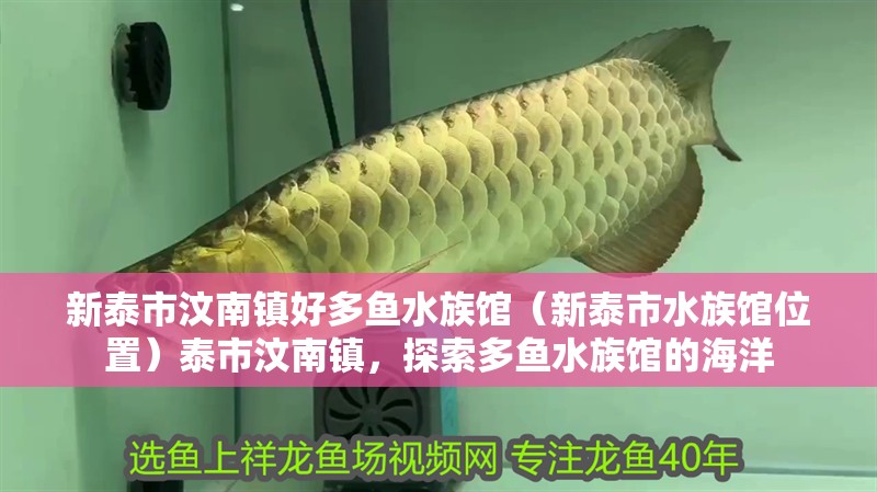新泰市汶南鎮好多魚水族館（新泰市水族館位置）泰市汶南鎮，探索多魚水族館的海洋