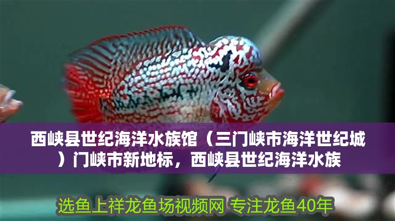 西峽縣世紀海洋水族館（三門峽市海洋世紀城）門峽市新地標，西峽縣世紀海洋水族