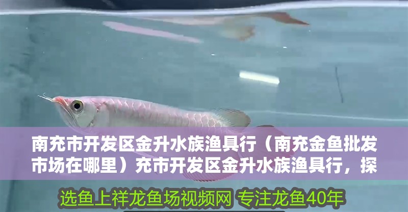 南充市開發區金升水族漁具行（南充金魚批發市場在哪里）充市開發區金升水族漁具行，探索南充市金魚批發市場的奧秘