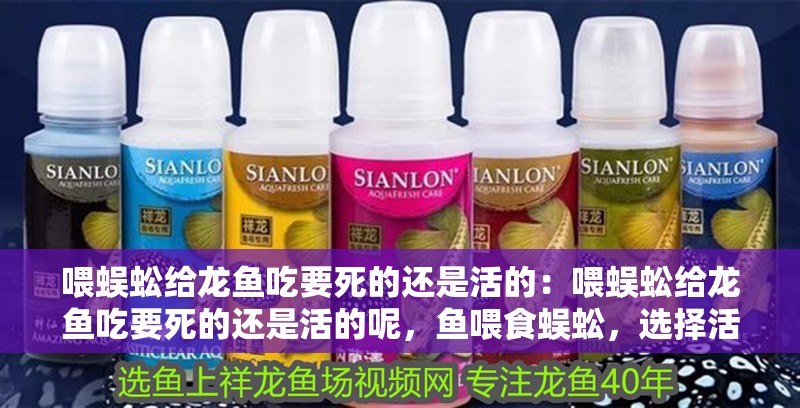 喂蜈蚣給龍魚吃要死的還是活的：喂蜈蚣給龍魚吃要死的還是活的呢，魚喂食蜈蚣，選擇活體還是 喂蜈蚣給龍魚吃要死的還是活的：喂蜈蚣給龍魚吃要死的還是活的呢，魚喂食蜈蚣，選擇活體還是 水族問答