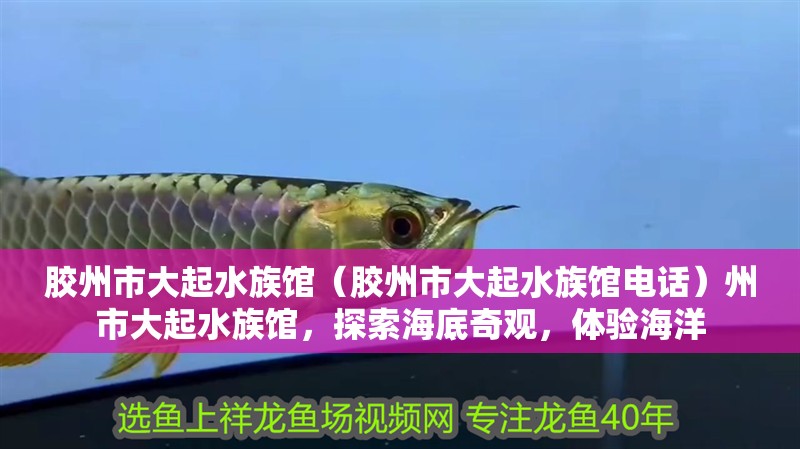 膠州市大起水族館（膠州市大起水族館電話）州市大起水族館，探索海底奇觀，體驗海洋