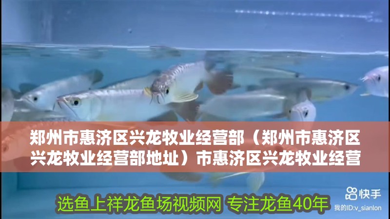 鄭州市惠濟區興龍牧業經營部（鄭州市惠濟區興龍牧業經營部地址）市惠濟區興龍牧業經營部詳細地址及聯系方式一覽