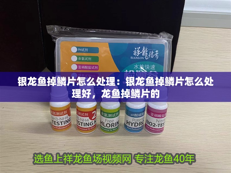 銀龍魚掉鱗片怎么處理：銀龍魚掉鱗片怎么處理好，龍魚掉鱗片的