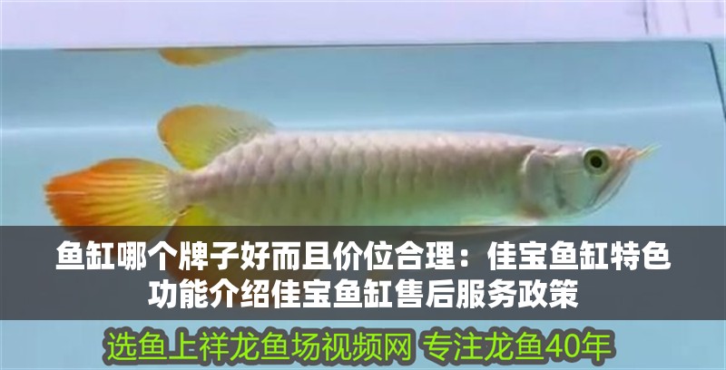魚缸哪個牌子好而且價位合理：佳寶魚缸特色功能介紹佳寶魚缸售后服務政策