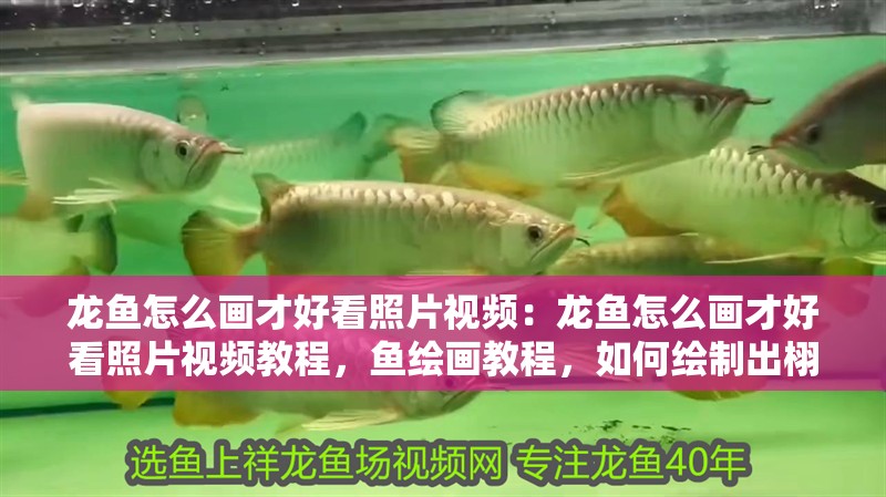 龍魚怎么畫才好看照片視頻：龍魚怎么畫才好看照片視頻教程，魚繪畫教程，如何繪制出栩栩如生的龍魚形象