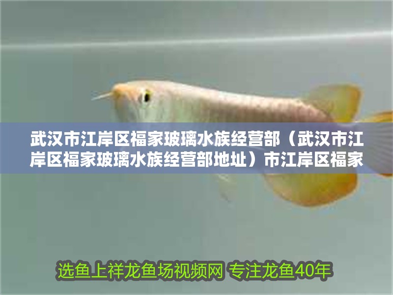 武漢市江岸區福家玻璃水族經營部（武漢市江岸區福家玻璃水族經營部地址）市江岸區福家玻璃水族經營部，專業水族