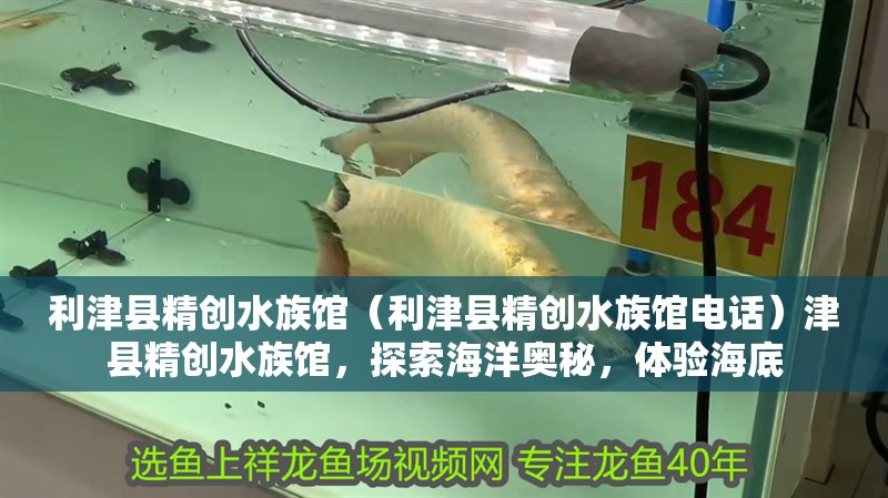 利津縣精創水族館（利津縣精創水族館電話）津縣精創水族館，探索海洋奧秘，體驗海底