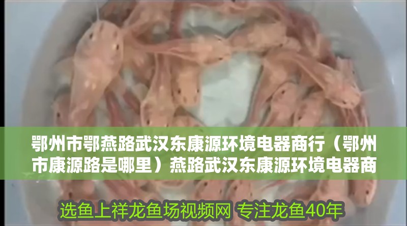 鄂州市鄂燕路武漢東康源環(huán)境電器商行（鄂州市康源路是哪里）燕路武漢東康源環(huán)境電器商行，鄂州市康源路的探索與發(fā)現(xiàn)