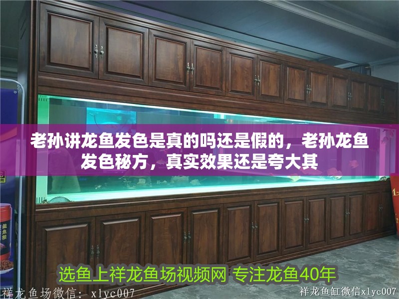老孫講龍魚發(fā)色是真的嗎還是假的，老孫龍魚發(fā)色秘方，真實效果還是夸大其