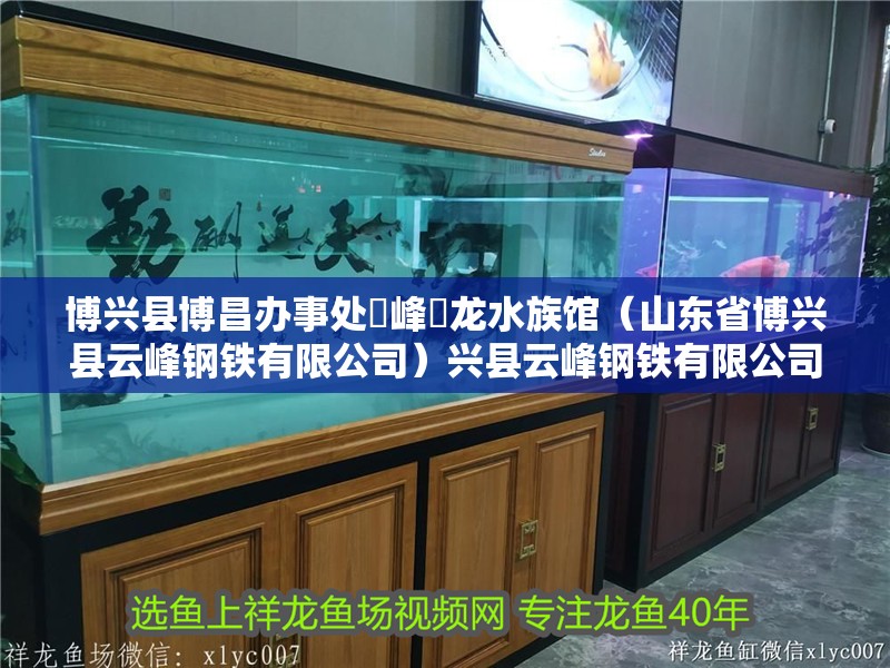 博興縣博昌辦事處雲峰魟龍水族館（山東省博興縣云峰鋼鐵有限公司）興縣云峰鋼鐵有限公司轉型水族館 —— 雲峰魟龍水族館