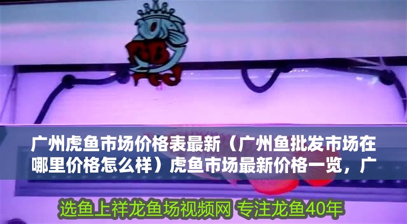 廣州虎魚市場價格表最新（廣州魚批發市場在哪里價格怎么樣）虎魚市場最新價格一覽，廣州魚