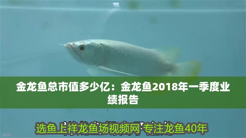 金龍魚總市值多少億：金龍魚2018年一季度業績報告