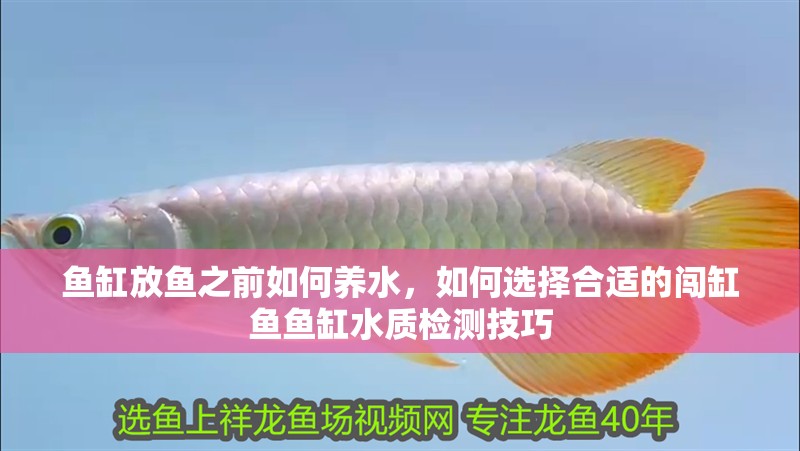 魚缸放魚之前如何養水，如何選擇合適的闖缸魚魚缸水質檢測技巧