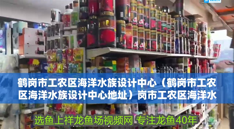 鶴崗市工農區海洋水族設計中心（鶴崗市工農區海洋水族設計中心地址）崗市工農區海洋水族設計中心，探索自然之美