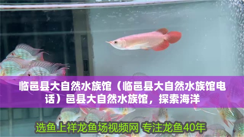 臨邑縣大自然水族館（臨邑縣大自然水族館電話）邑縣大自然水族館，探索海洋