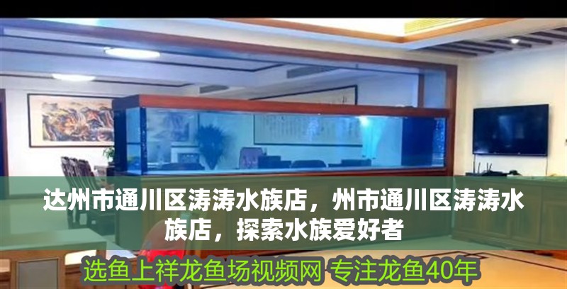 達州市通川區濤濤水族店，州市通川區濤濤水族店，探索水族愛好者