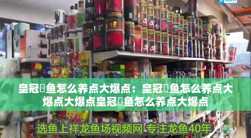 皇冠魟魚怎么養(yǎng)點大爆點：皇冠魟魚怎么養(yǎng)點大爆點大爆點皇冠魟魚怎么養(yǎng)點大爆點