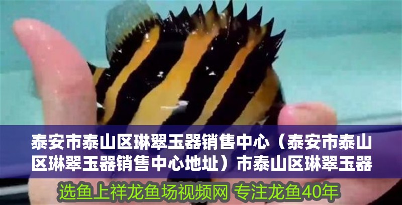 泰安市泰山區琳翠玉器銷售中心（泰安市泰山區琳翠玉器銷售中心地址）市泰山區琳翠玉器銷售中心，探索傳統玉器的