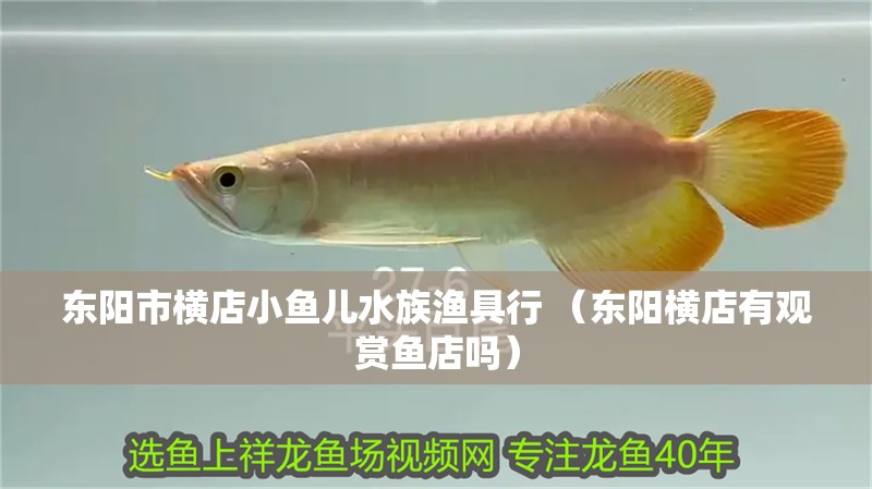 東陽(yáng)市橫店小魚(yú)兒水族漁具行 （東陽(yáng)橫店有觀賞魚(yú)店嗎）