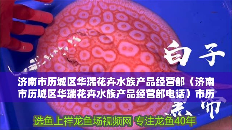 濟(jì)南市歷城區(qū)華瑞花卉水族產(chǎn)品經(jīng)營(yíng)部（濟(jì)南市歷城區(qū)華瑞花卉水族產(chǎn)品經(jīng)營(yíng)部電話）市歷城區(qū)華瑞花卉水族產(chǎn)品經(jīng)營(yíng)部聯(lián)系方式與服務(wù)簡(jiǎn)介