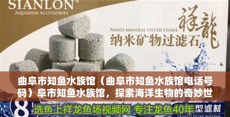 曲阜市知魚水族館（曲阜市知魚水族館電話號碼）阜市知魚水族館，探索海洋生物的奇妙世界