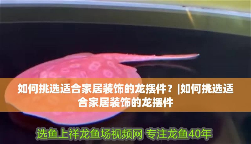 如何挑選適合家居裝飾的龍擺件？|如何挑選適合家居裝飾的龍擺件