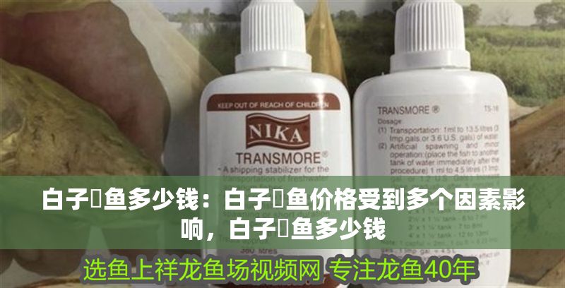 白子魟魚多少錢：白子魟魚價格受到多個因素影響，白子魟魚多少錢 白子魟魚多少錢：白子魟魚價格受到多個因素影響，白子魟魚多少錢 魟魚百科 第2張