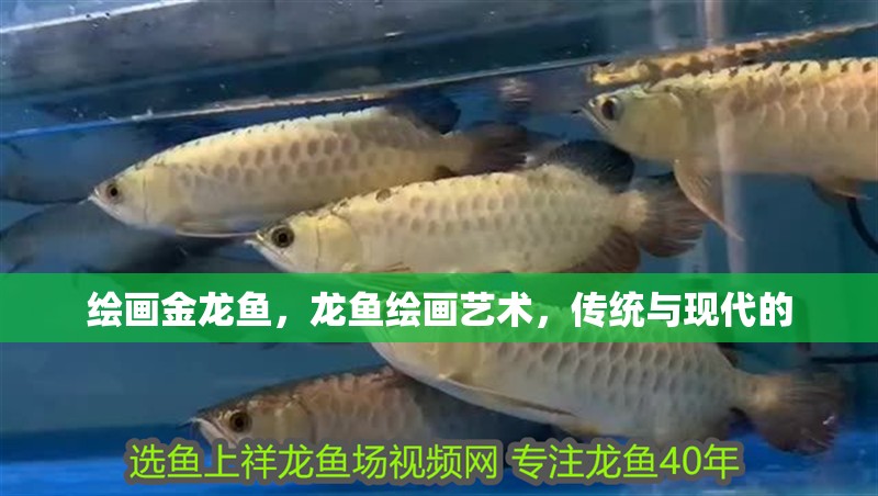 繪畫金龍魚，龍魚繪畫藝術(shù)，傳統(tǒng)與現(xiàn)代的