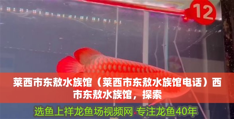 萊西市東敖水族館（萊西市東敖水族館電話）西市東敖水族館，探索