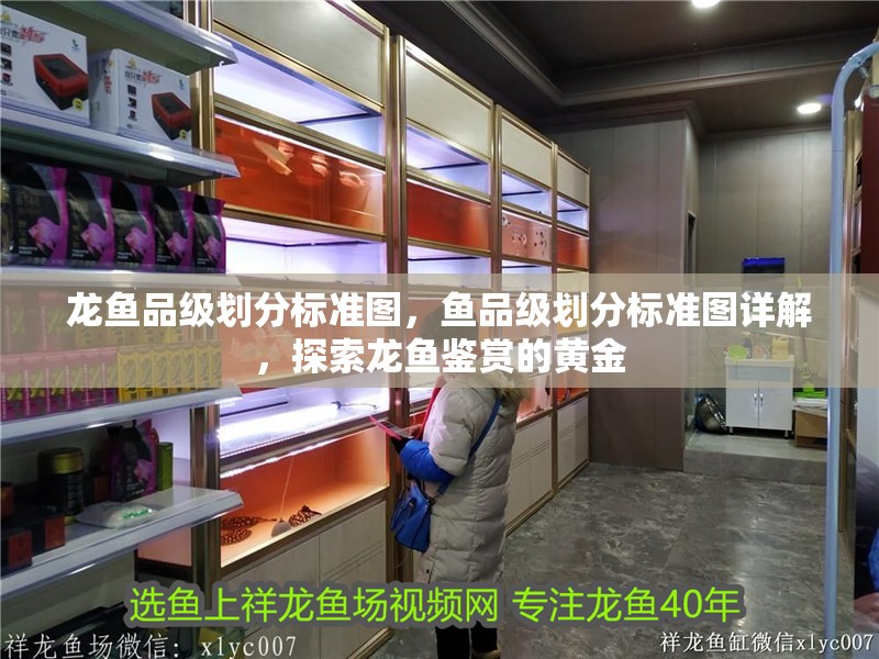 龍魚(yú)品級(jí)劃分標(biāo)準(zhǔn)圖，魚(yú)品級(jí)劃分標(biāo)準(zhǔn)圖詳解，探索龍魚(yú)鑒賞的黃金