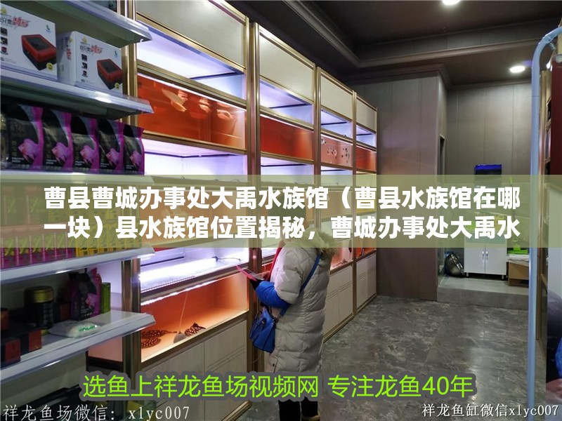 曹縣曹城辦事處大禹水族館（曹縣水族館在哪一塊）縣水族館位置揭秘，曹城辦事處大禹水族