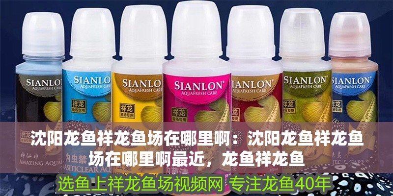 沈陽龍魚祥龍魚場在哪里?。荷蜿桚堲~祥龍魚場在哪里啊最近，龍魚祥龍魚