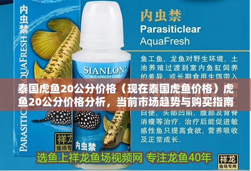 泰國虎魚20公分價格（現(xiàn)在泰國虎魚價格）虎魚20公分價格分析，當前市場趨勢與購買指南