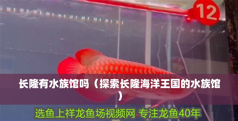 長隆有水族館嗎（探索長隆海洋王國的水族館）