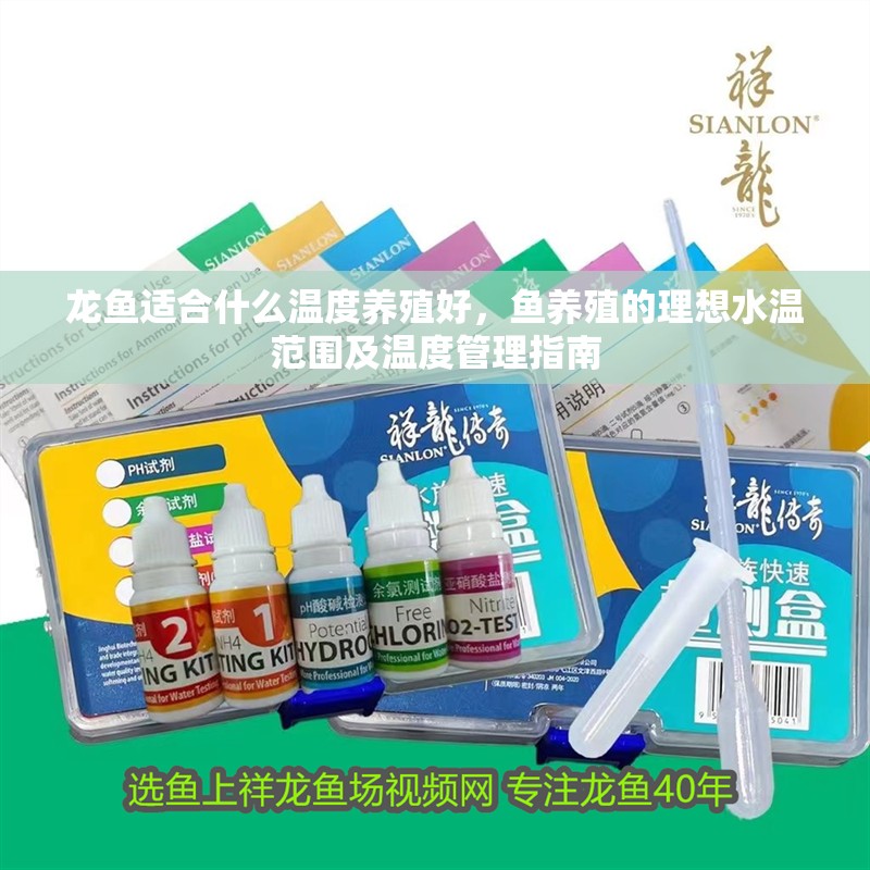 龍魚適合什么溫度養殖好，魚養殖的理想水溫范圍及溫度管理指南