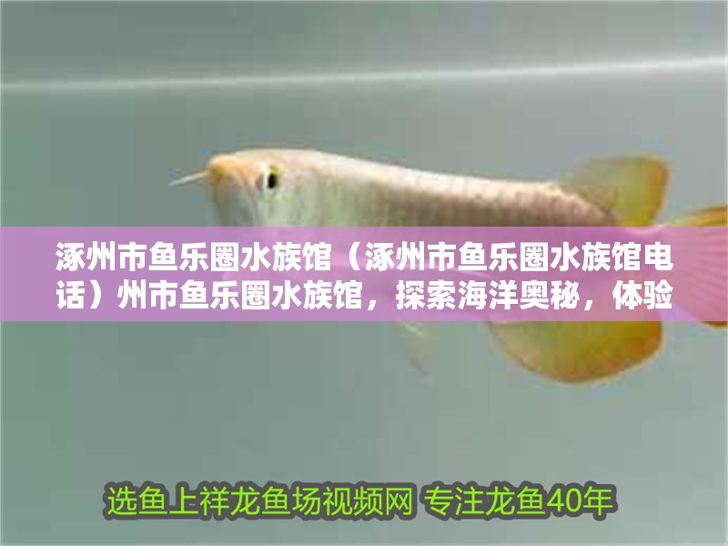 涿州市魚(yú)樂(lè)圈水族館（涿州市魚(yú)樂(lè)圈水族館電話）州市魚(yú)樂(lè)圈水族館，探索海洋奧秘，體驗(yàn)水