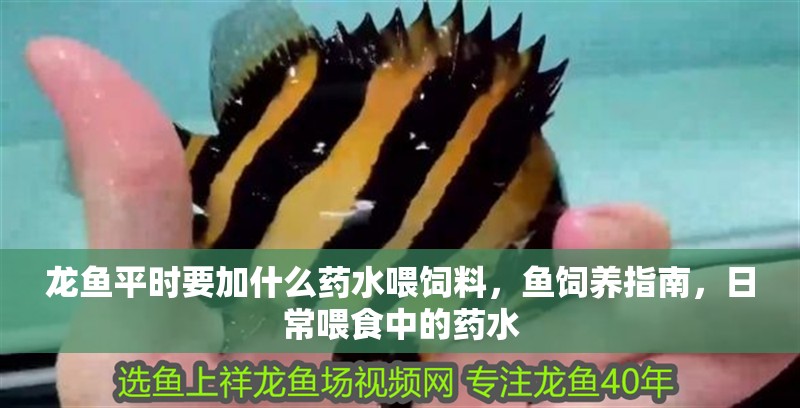 龍魚平時要加什么藥水喂飼料，魚飼養指南，日常喂食中的藥水