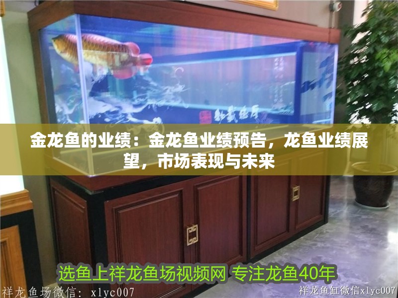 金龍魚的業績：金龍魚業績預告，龍魚業績展望，市場表現與未來