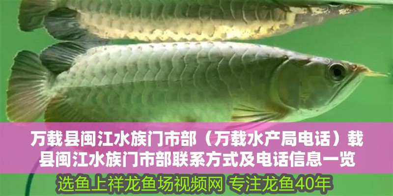 萬載縣閩江水族門市部（萬載水產(chǎn)局電話）載縣閩江水族門市部聯(lián)系方式及電話信息一覽