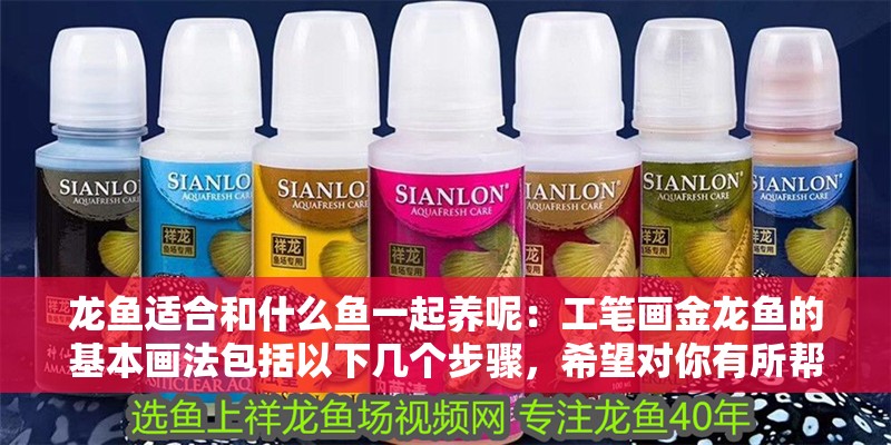 龍魚適合和什么魚一起養呢：工筆畫金龍魚的基本畫法包括以下幾個步驟，希望對你有所幫助，魚與工筆畫金龍魚基本畫法，探索和諧共