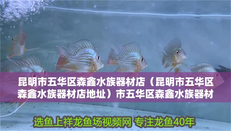 昆明市五華區森鑫水族器材店（昆明市五華區森鑫水族器材店地址）市五華區森鑫水族器材店詳細地址及聯系方式 昆明市五華區森鑫水族器材店（昆明市五華區森鑫水族器材店地址）市五華區森鑫水族器材店詳細地址及聯系方式 全國水族館企業名錄 第2張