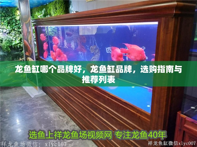 龍魚缸哪個品牌好，龍魚缸品牌，選購指南與推薦列表
