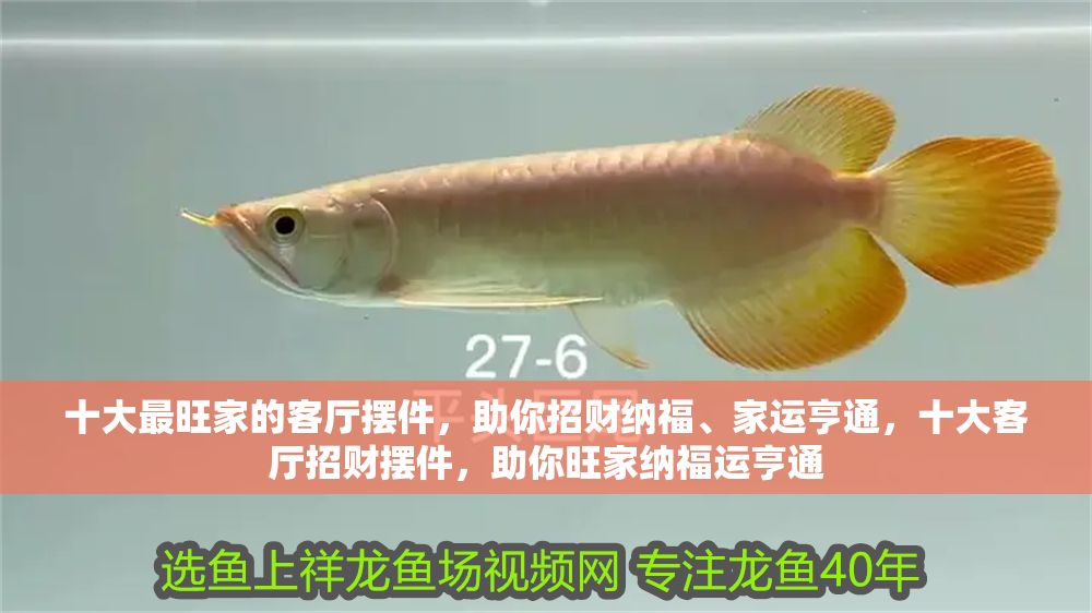 十大最旺家的客廳擺件，助你招財納福、家運亨通，十大客廳招財擺件，助你旺家納福運亨通