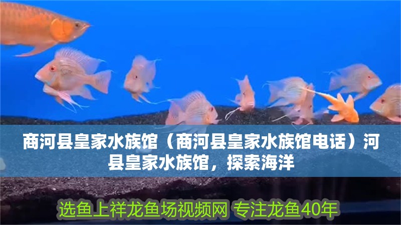 商河縣皇家水族館（商河縣皇家水族館電話）河縣皇家水族館，探索海洋