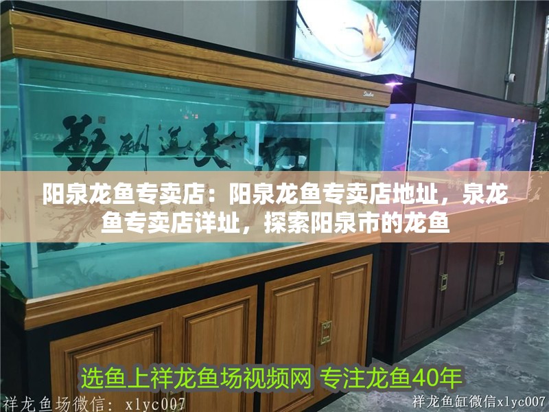 陽泉龍魚專賣店：陽泉龍魚專賣店地址，泉龍魚專賣店詳址，探索陽泉市的龍魚