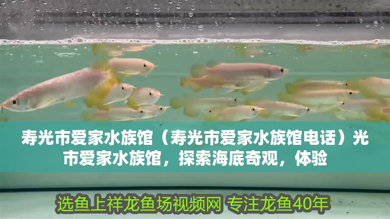 壽光市愛家水族館（壽光市愛家水族館電話）光市愛家水族館，探索海底奇觀，體驗