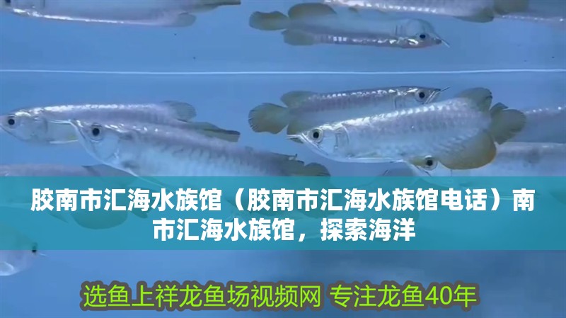 膠南市匯海水族館（膠南市匯海水族館電話）南市匯海水族館，探索海洋