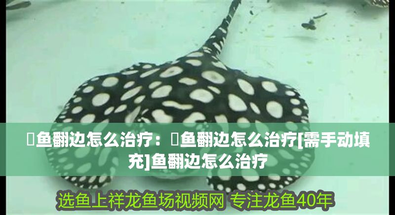魟魚翻邊怎么治療：魟魚翻邊怎么治療[需手動填充]魚翻邊怎么治療